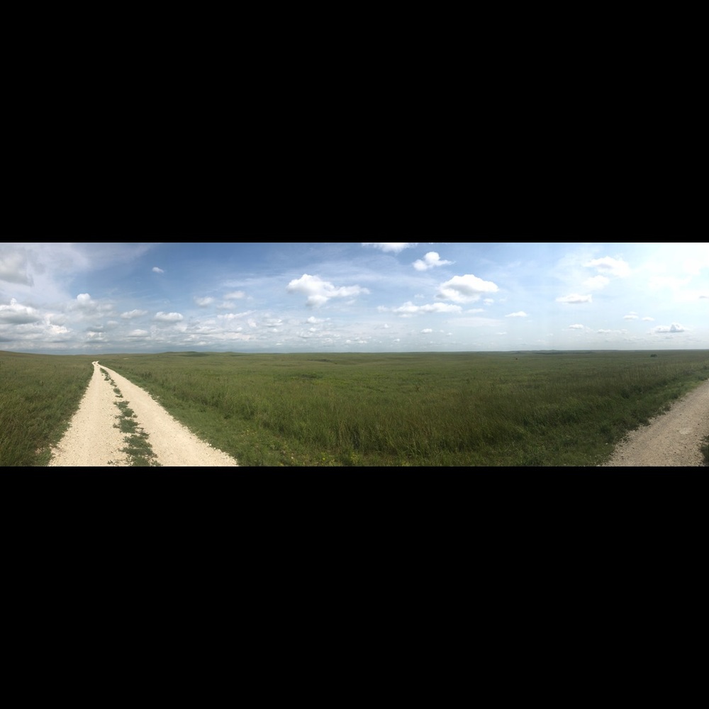 Meet your Posher, Kat